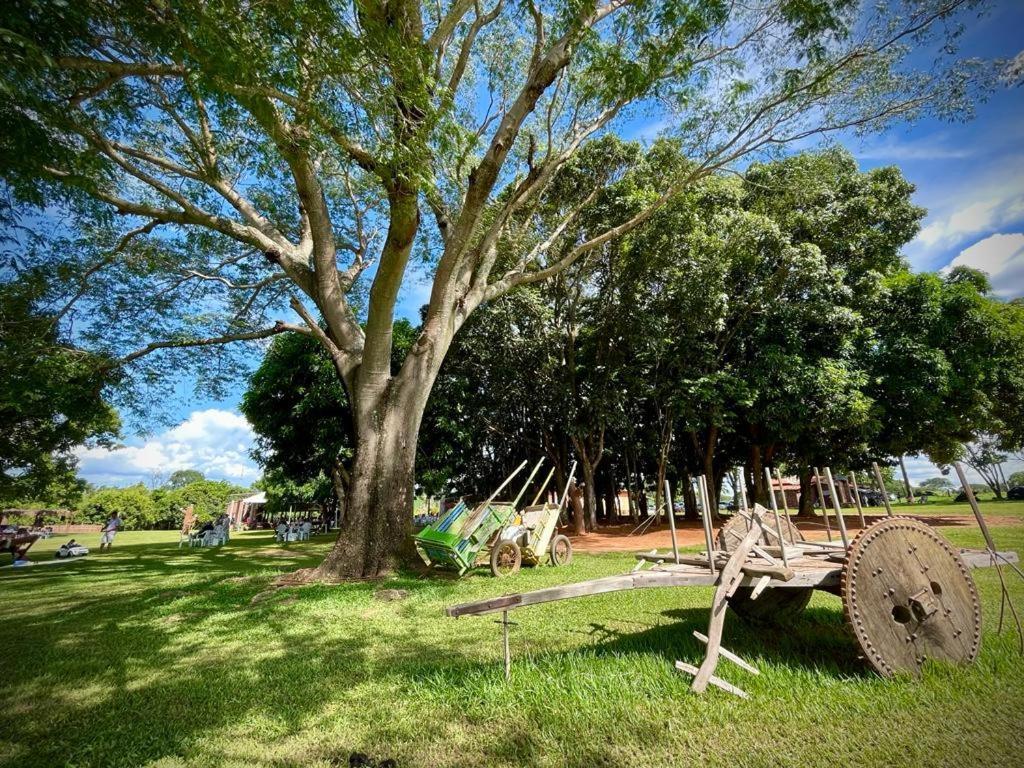 Fazenda Princesinha Tenda de luxo