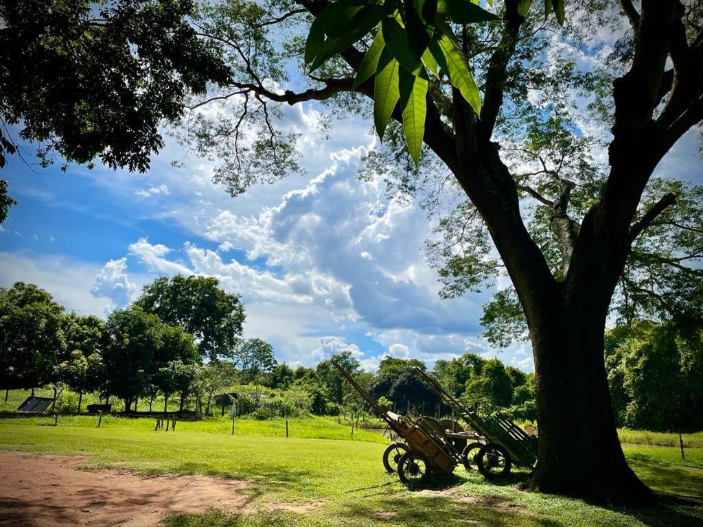 Fazenda Princesinha Tenda de luxo