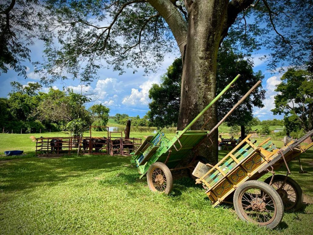 Fazenda Princesinha Tenda de luxo